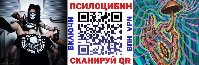 Псилоцибиновые грибы Cubensis  OMG ссылка  Благовещенск 