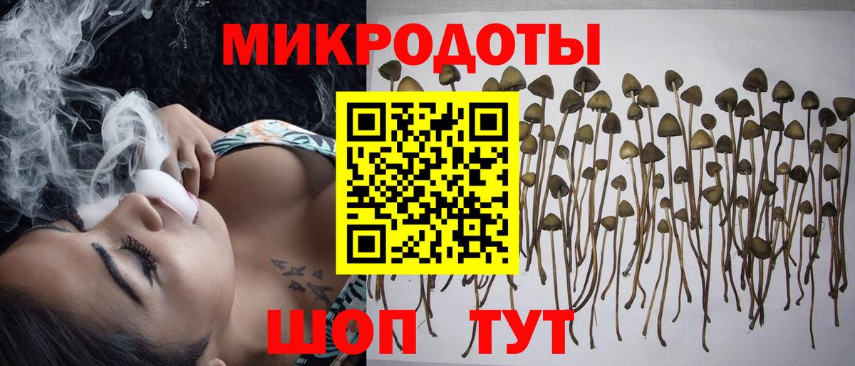 Благовещенск  Галлюциногенные грибы Psilocybe  Вход с VPN 