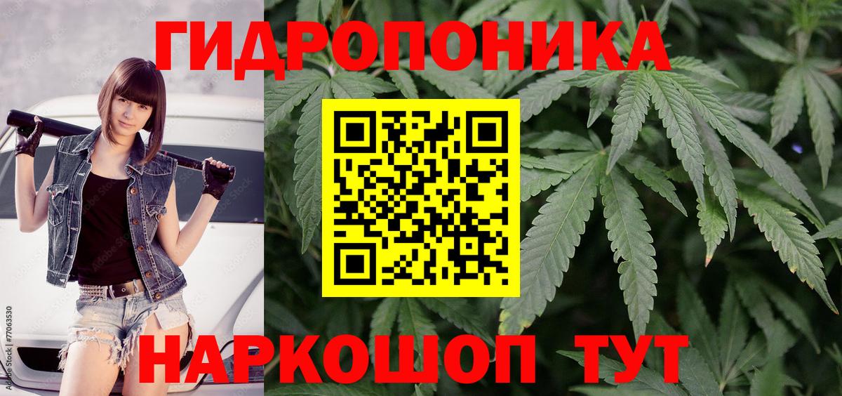 Каннабис индика  Вход с VPN  Шишки марихуана марихуана  Бошки марихуана тримм  Благовещенск 